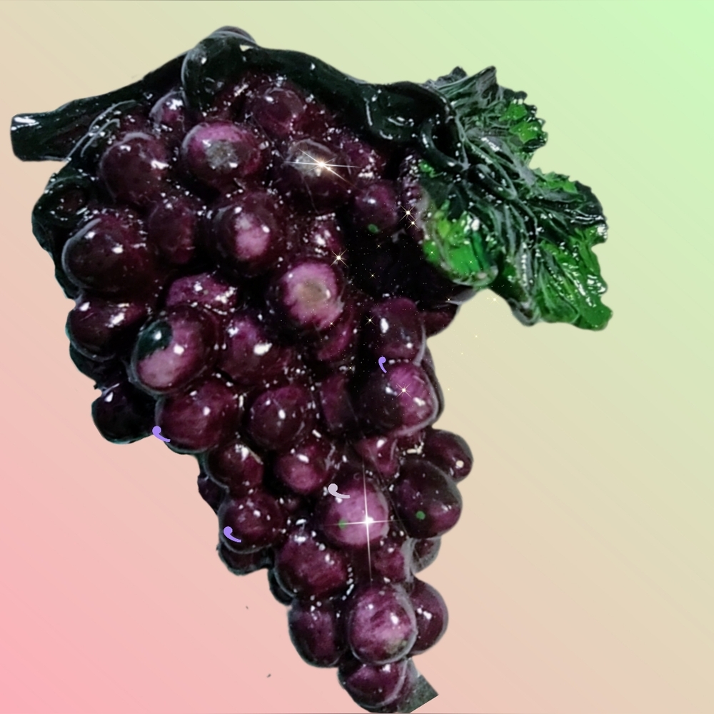 Box Set Bunch Of Grapes Magnets